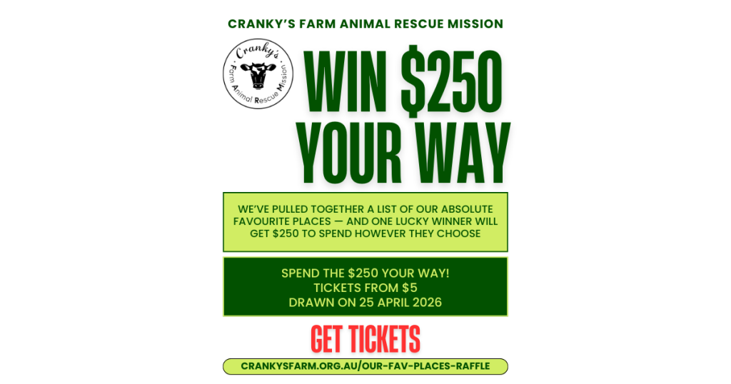 WIN $250